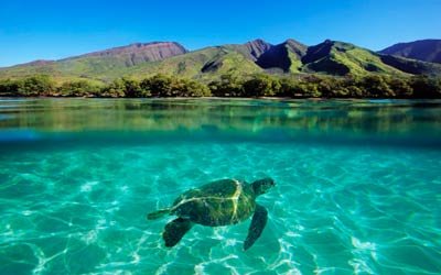¿Qué visitar en un viaje a Hawaii?